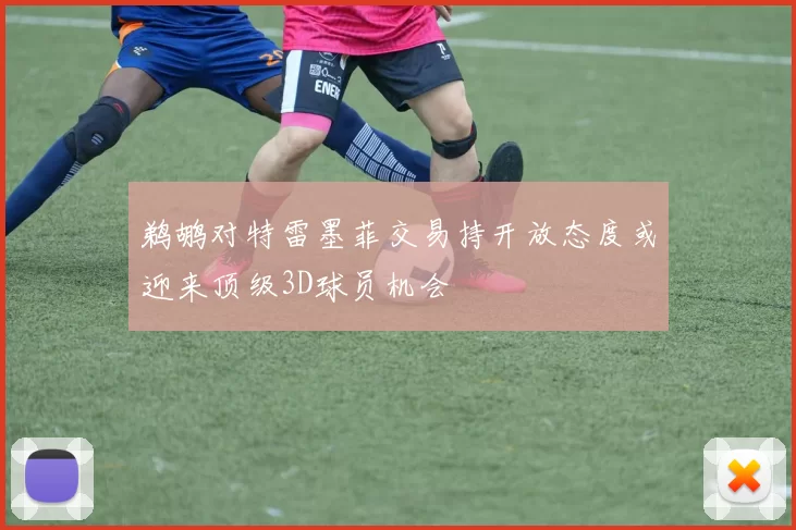 鹈鹕对特雷墨菲交易持开放态度或迎来顶级3D球员机会